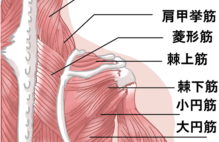 更年期障害による肩こりを根本から改善！|沖縄市で整体・もみほぐしなら『陶板浴＆整体・揉みほぐし 村上』